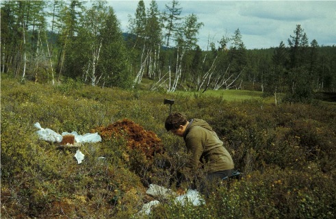 1st Meteorites from 1908 Tunguska Explosion Possibly Found